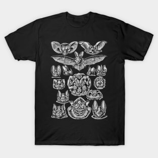 Ernst Haeckel Bats Black & White T-Shirt